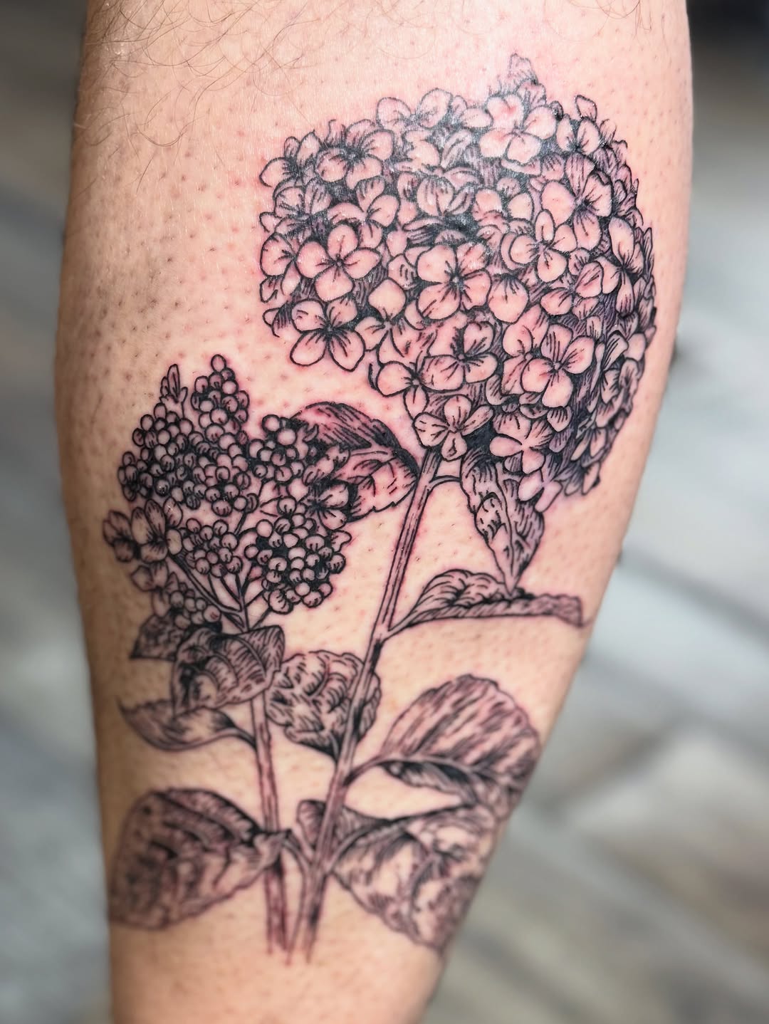 Tattoo by @hunterbeyertattoos — illustrative, black_and_grey