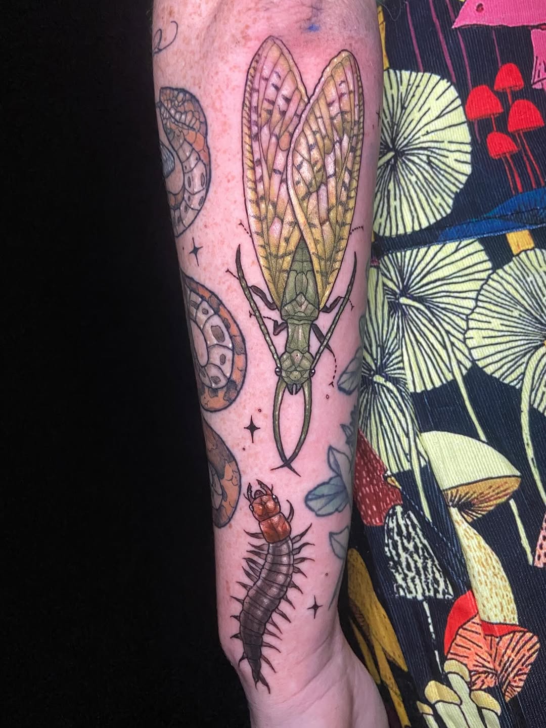 Tattoo by @dawncarrtattoos — illustrative, realism