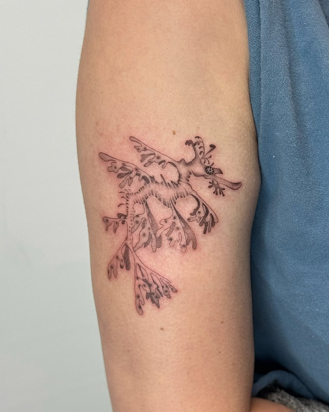 Tattoo by @whiskietattoos โ fine_line, illustrative