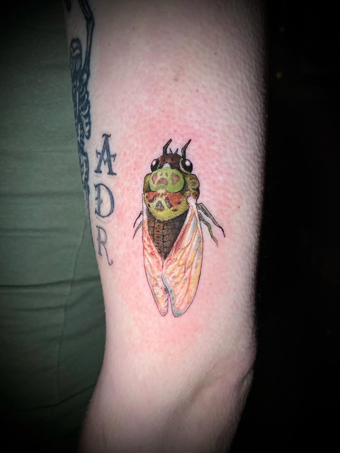 Tattoo by @_unfreakish_ — realism, fine_line