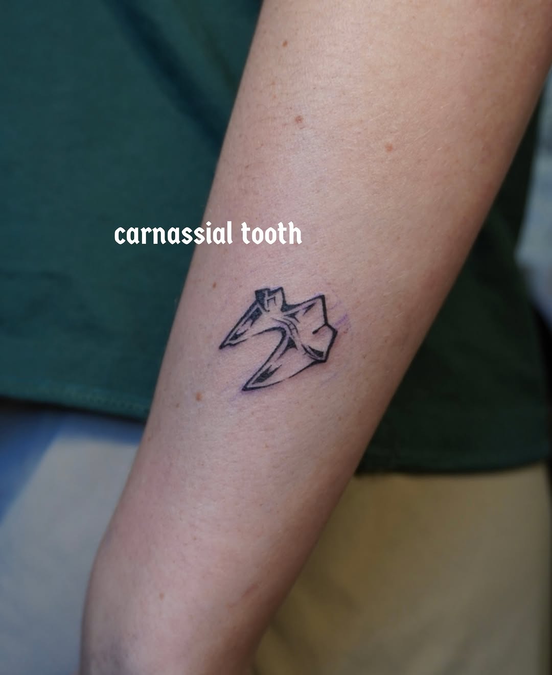 Tattoo by @scaredy.cat.tatts — fine_line