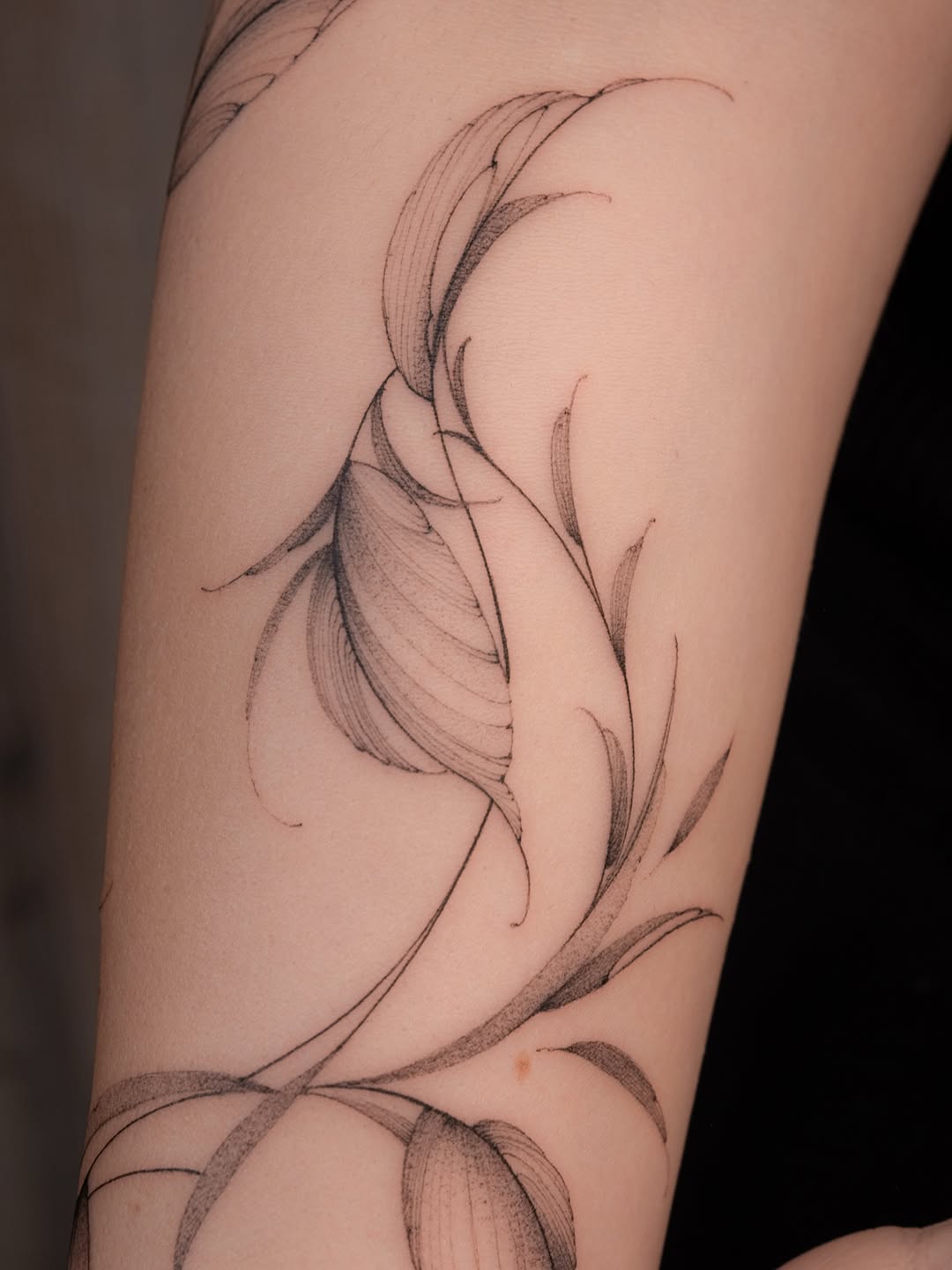 Tattoo by @lasstattoo — fine_line, dotwork