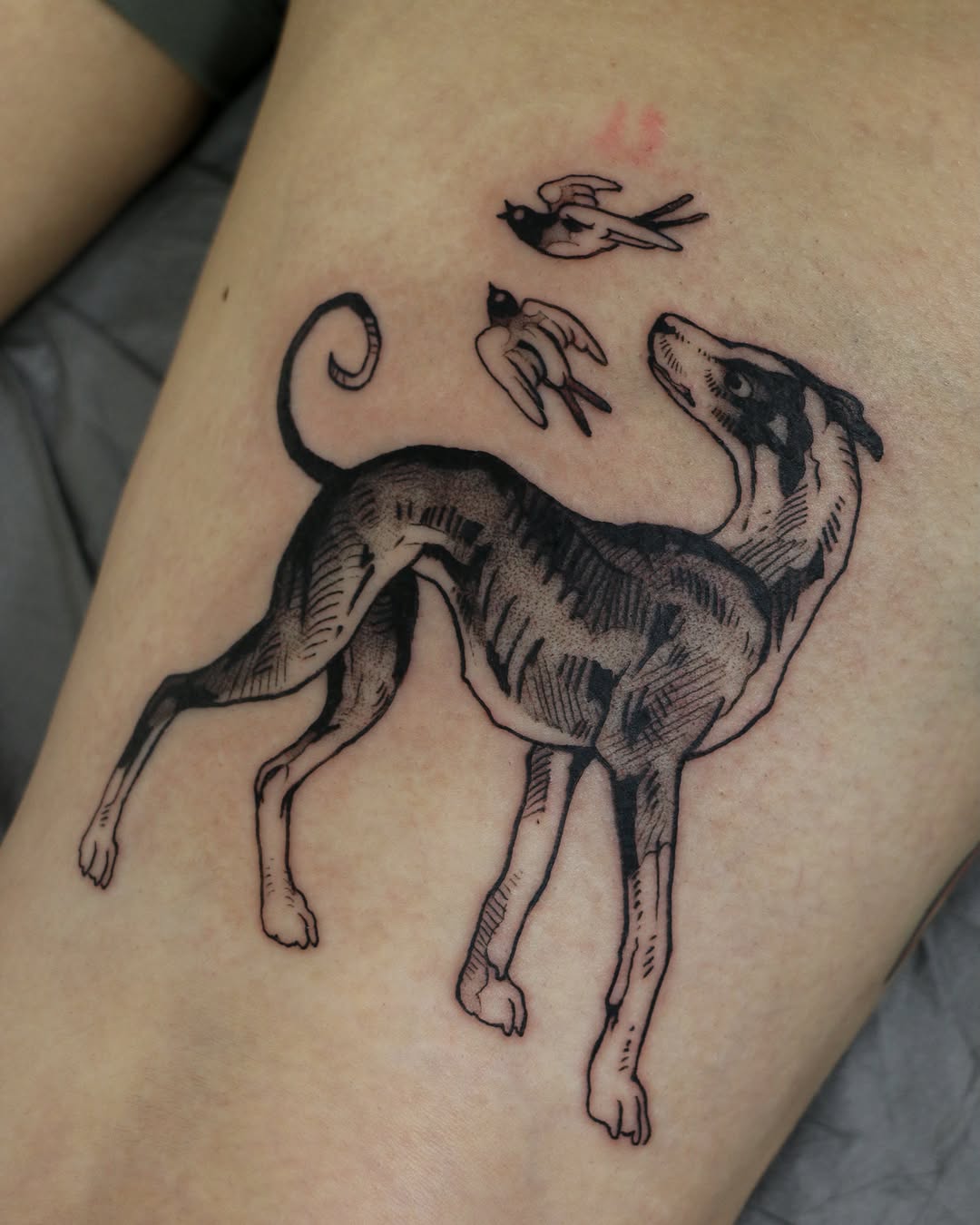 Tattoo by @baldpeaches — illustrative, black_and_grey