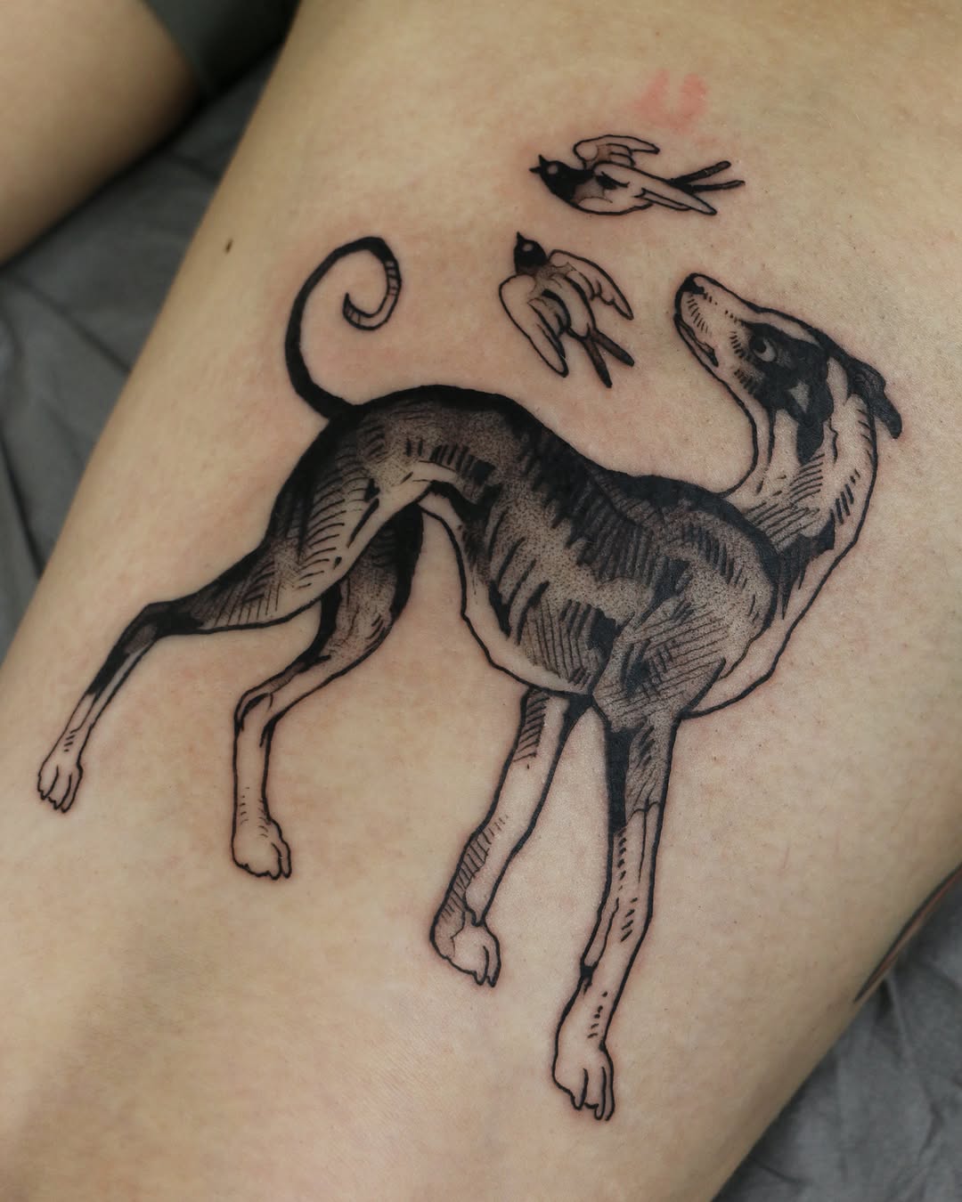 Tattoo by @baldpeaches — illustrative, black_and_grey