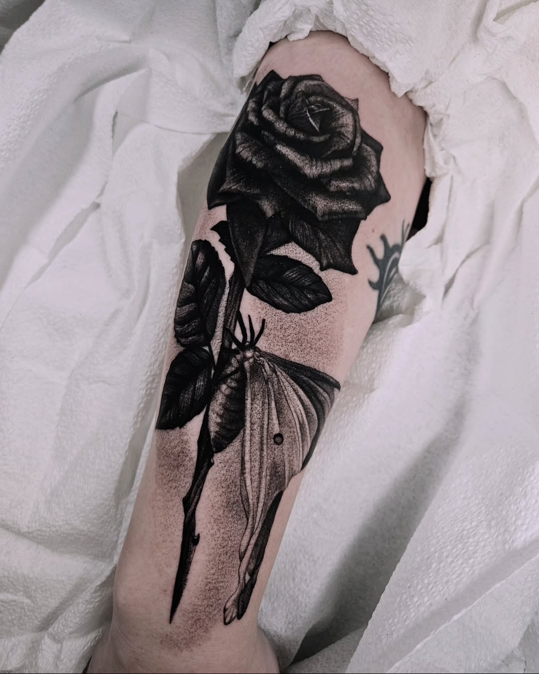 Tattoo by @fermented_ink — black_and_grey, dotwork