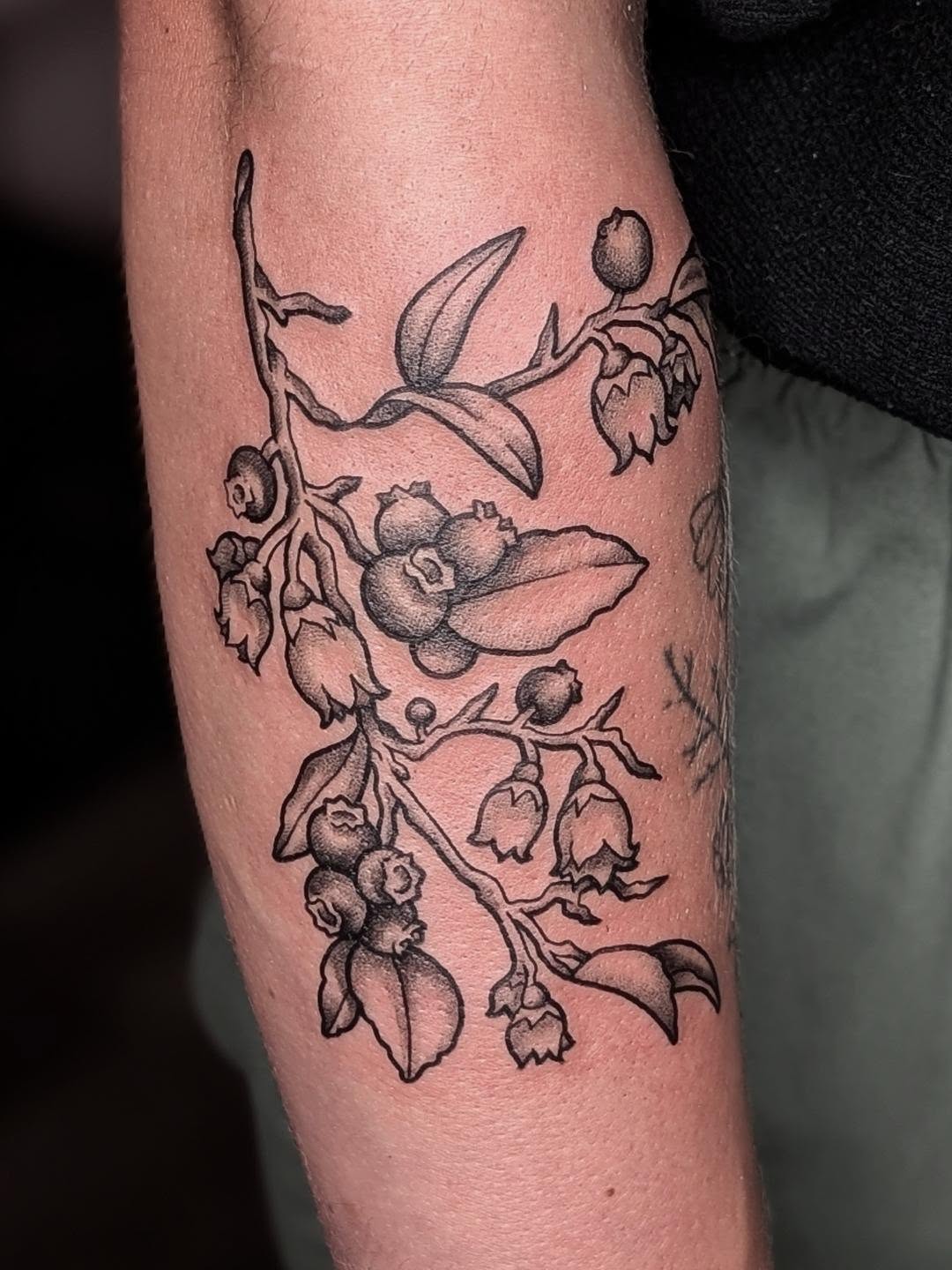 Tattoo by @elise_inks — black_and_grey, illustrative