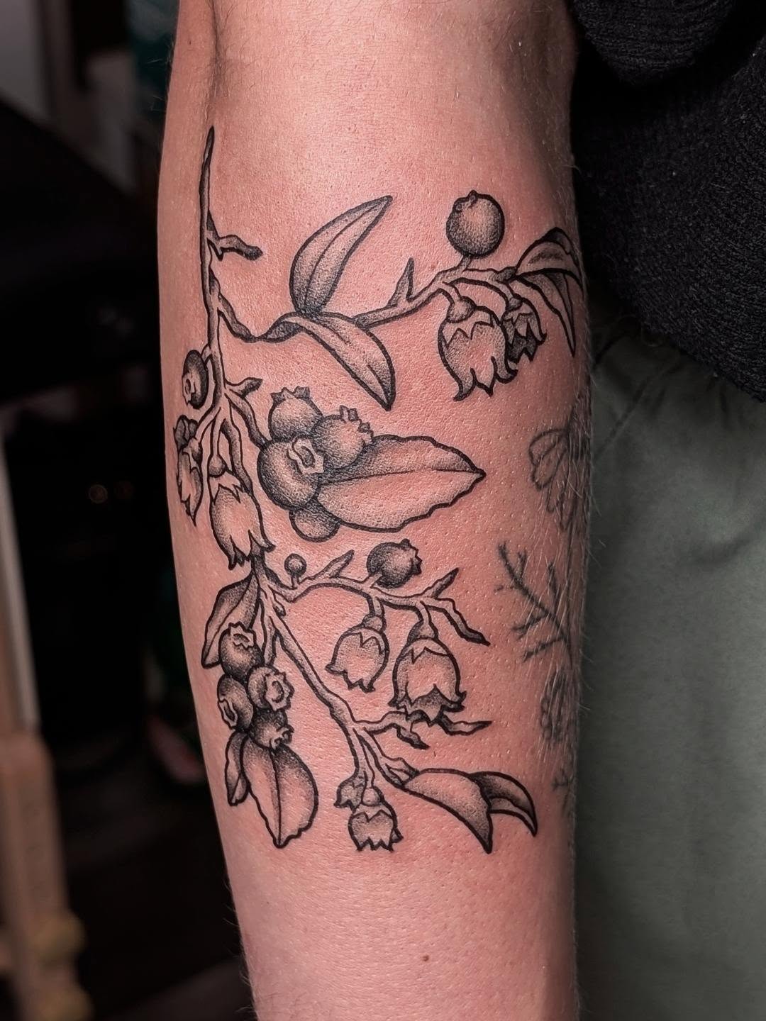 Tattoo by @elise_inks — black_and_grey, fine_line