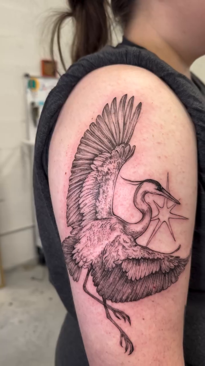 Tattoo by @erynsportfolio — fine_line, black_and_grey