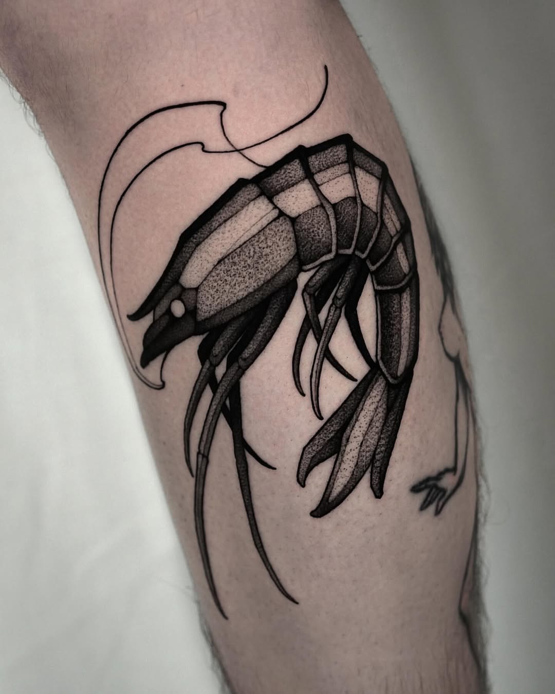 Tattoo by @maxwelllacroix — dotwork, black_and_grey