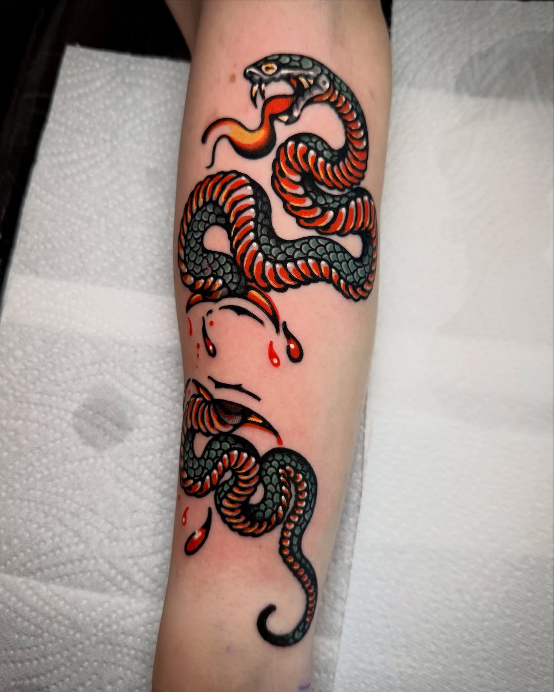 Tattoo by @ynot.tat — american_traditional, illustrative