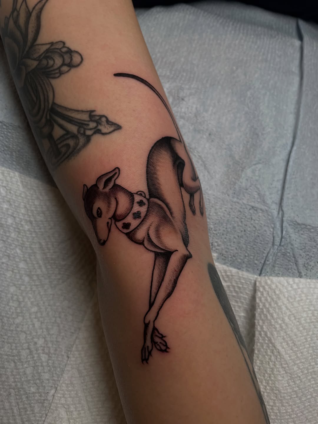 Tattoo by @miramtattoo — black_and_grey, realism