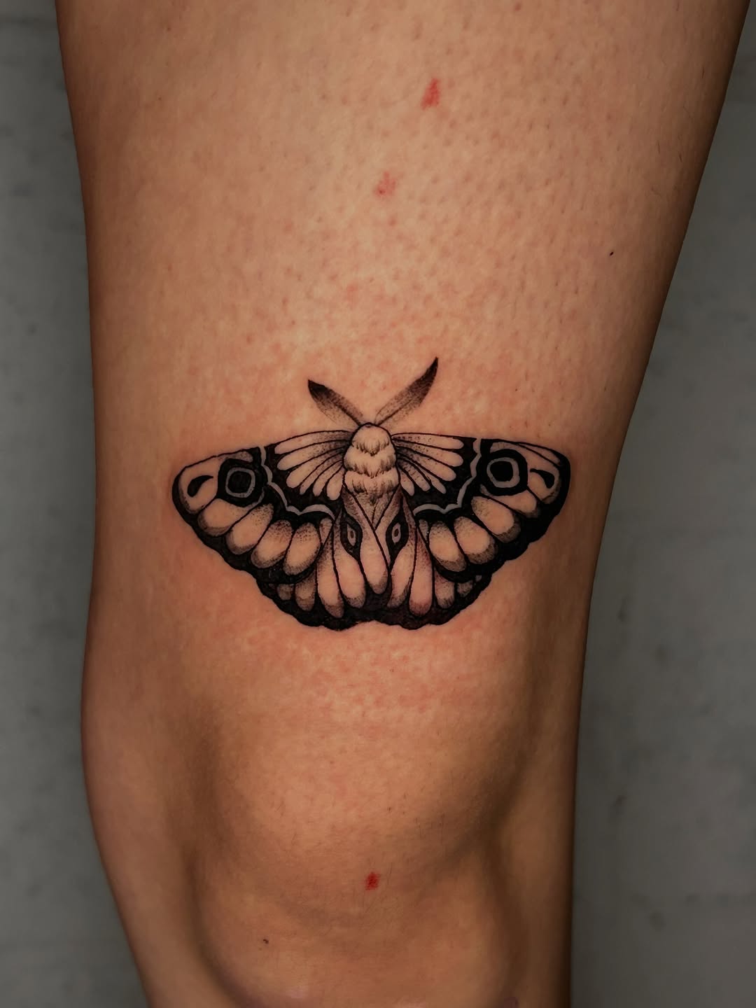 Tattoo by @la_diabhla — black_and_grey, dotwork