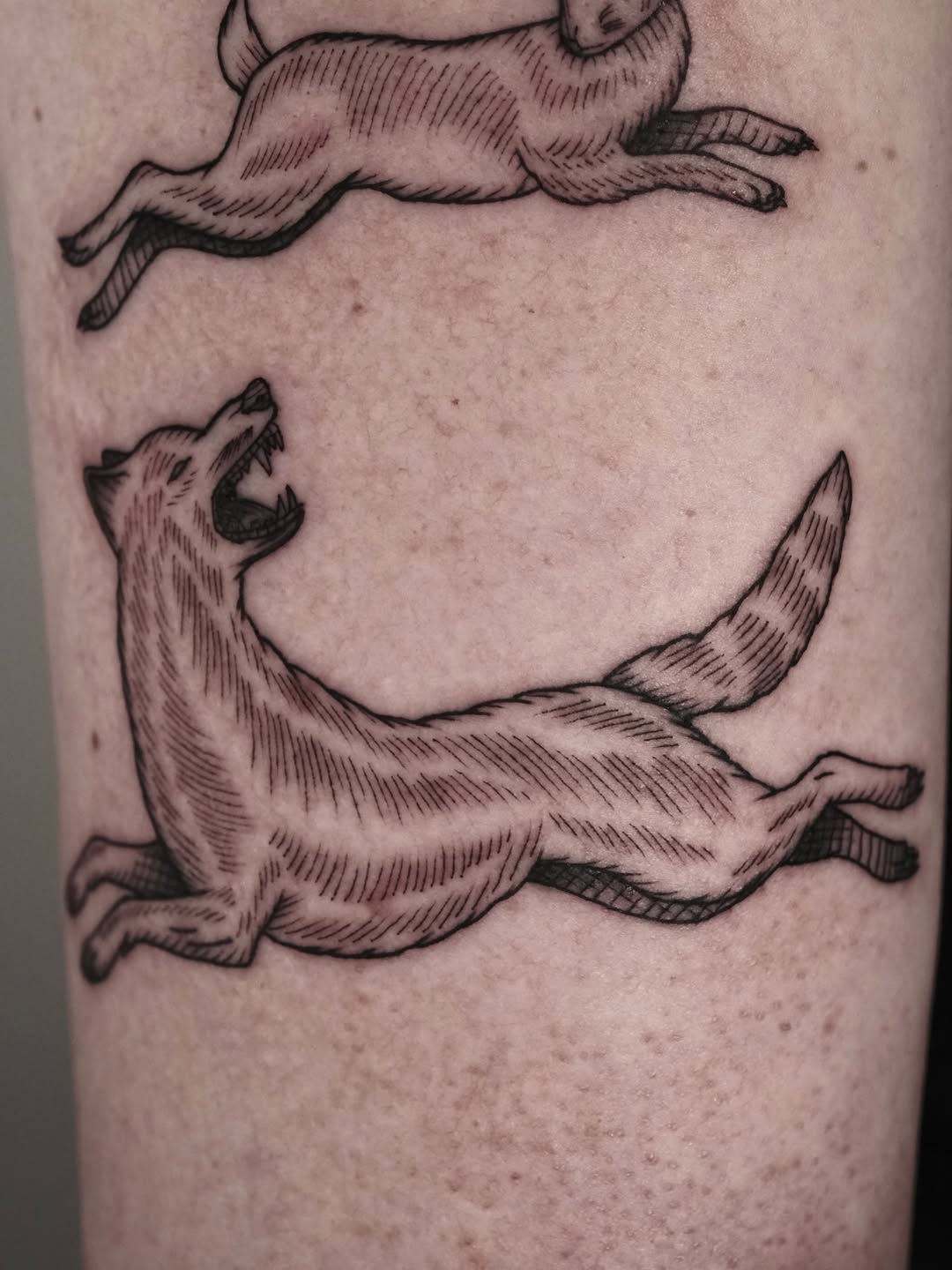 Tattoo by @nocool_kim — illustrative, black_and_grey