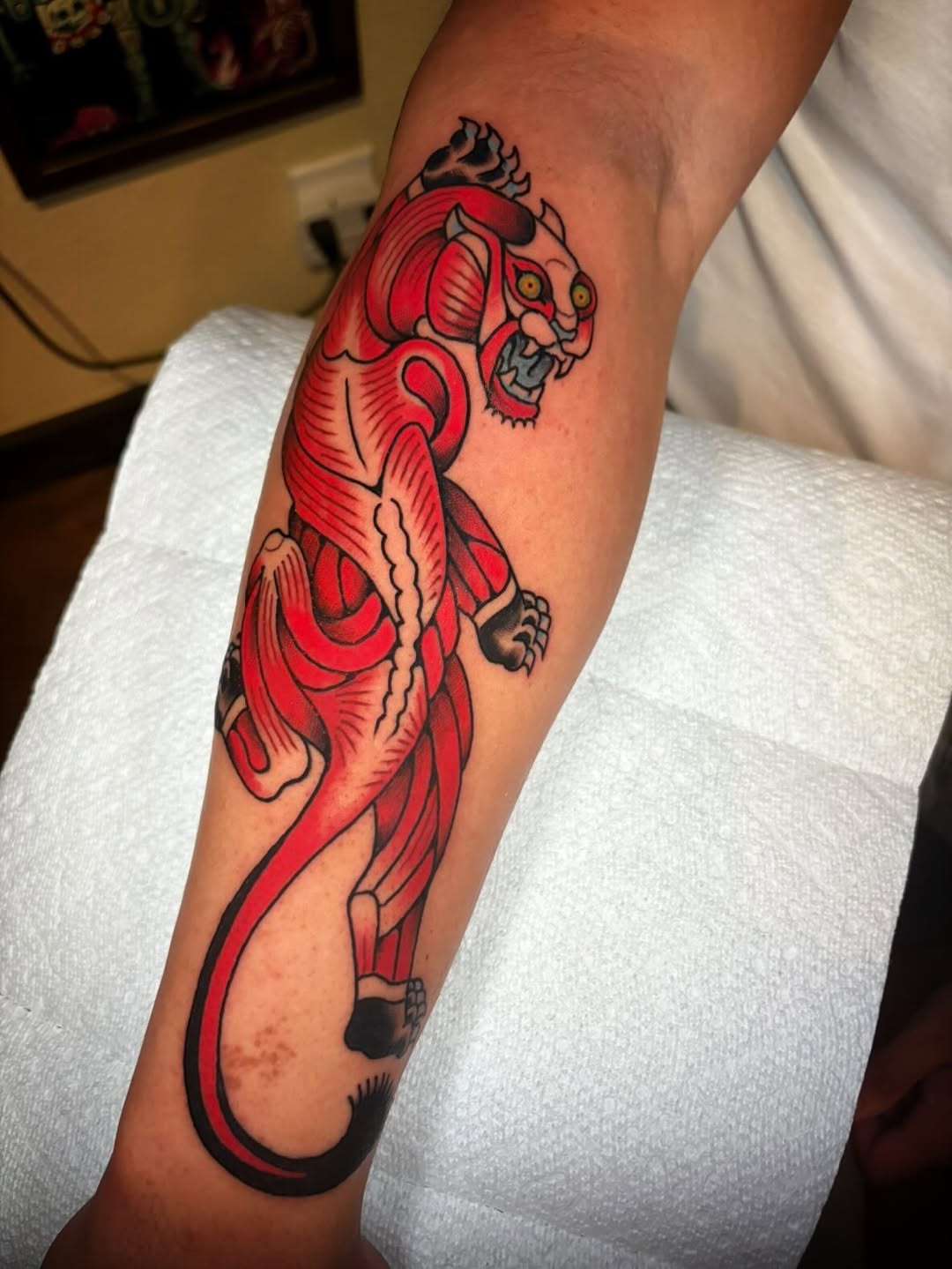 Tattoo by @wonkytiger β american_traditional, illustrative