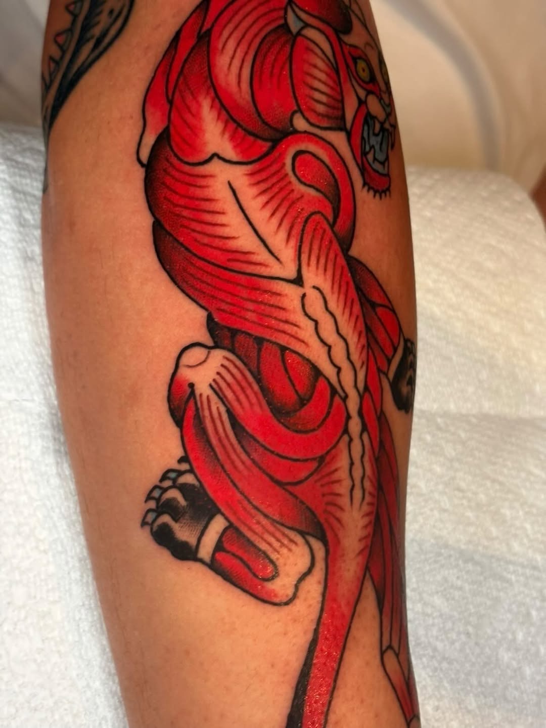 Tattoo by @wonkytiger β american_traditional, illustrative