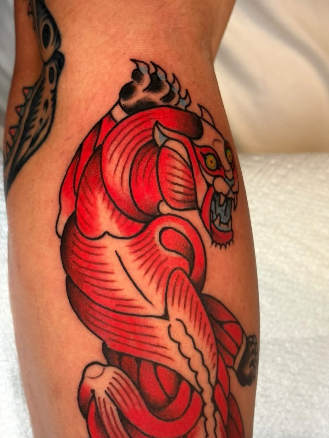 Tattoo by @wonkytiger β american_traditional, illustrative