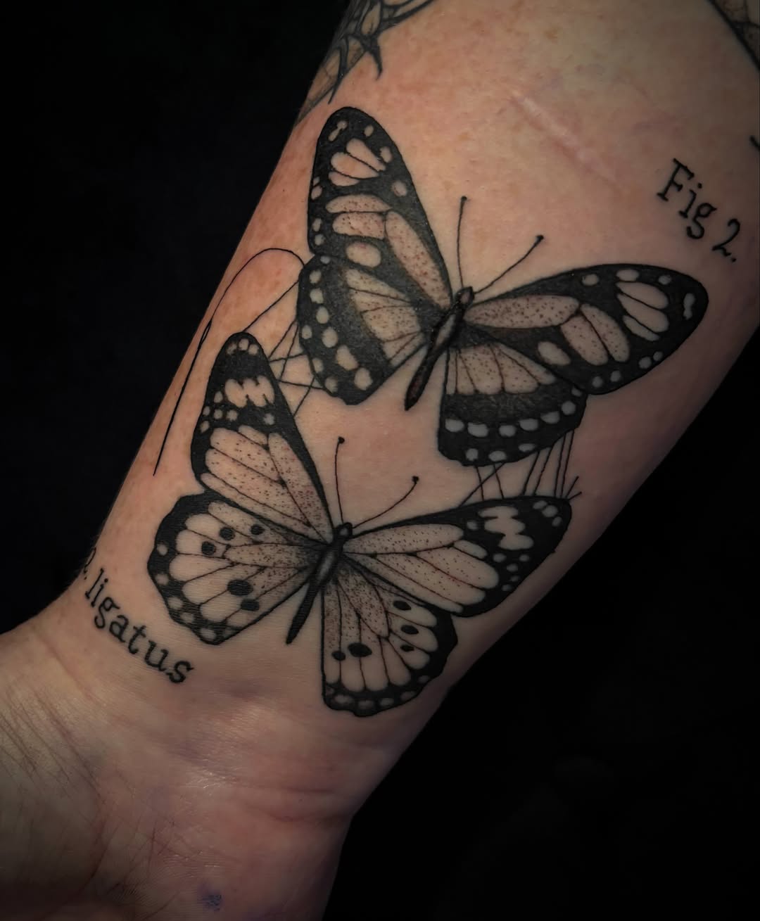 Tattoo by @tk.tattoos โ black_and_grey, fine_line