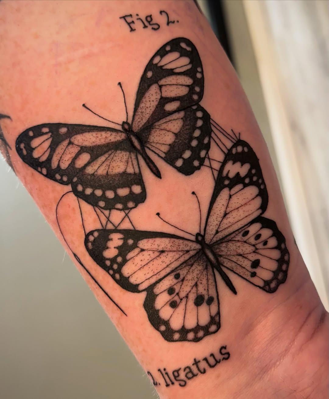 Tattoo by @tk.tattoos โ black_and_grey, dotwork