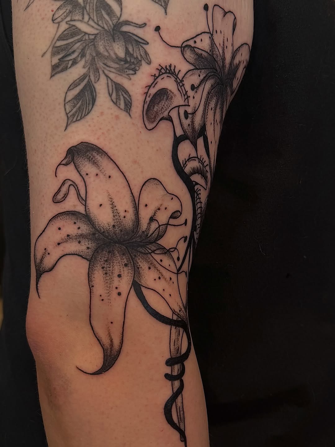 Tattoo by @storylines.tattoos — black_and_grey, dotwork