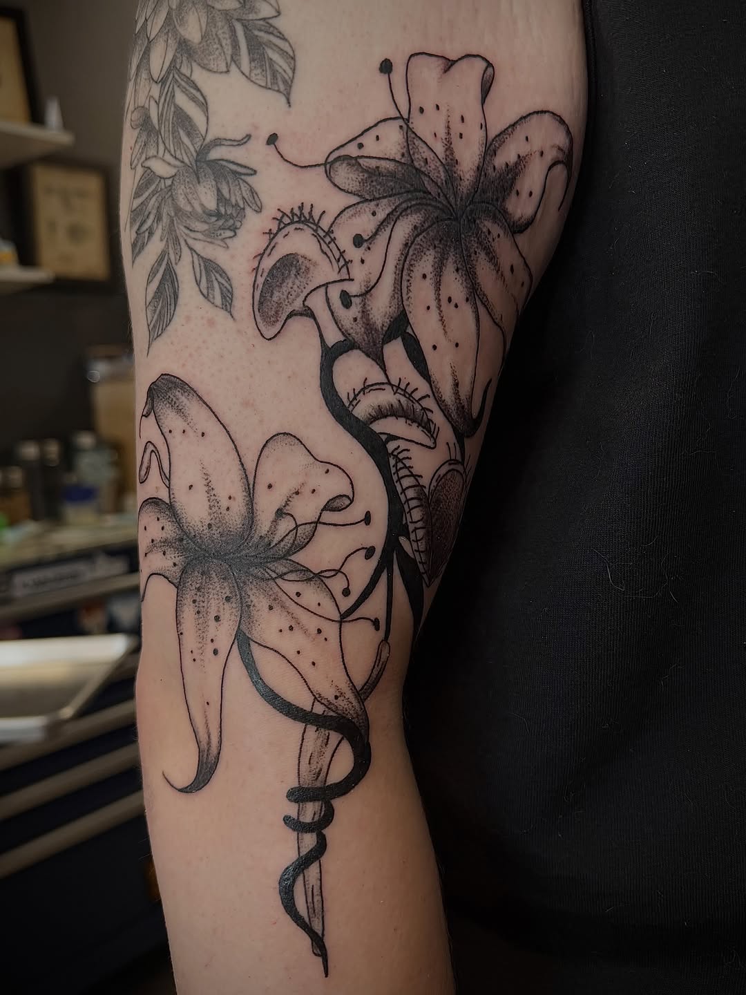 Tattoo by @storylines.tattoos — dotwork, black_and_grey