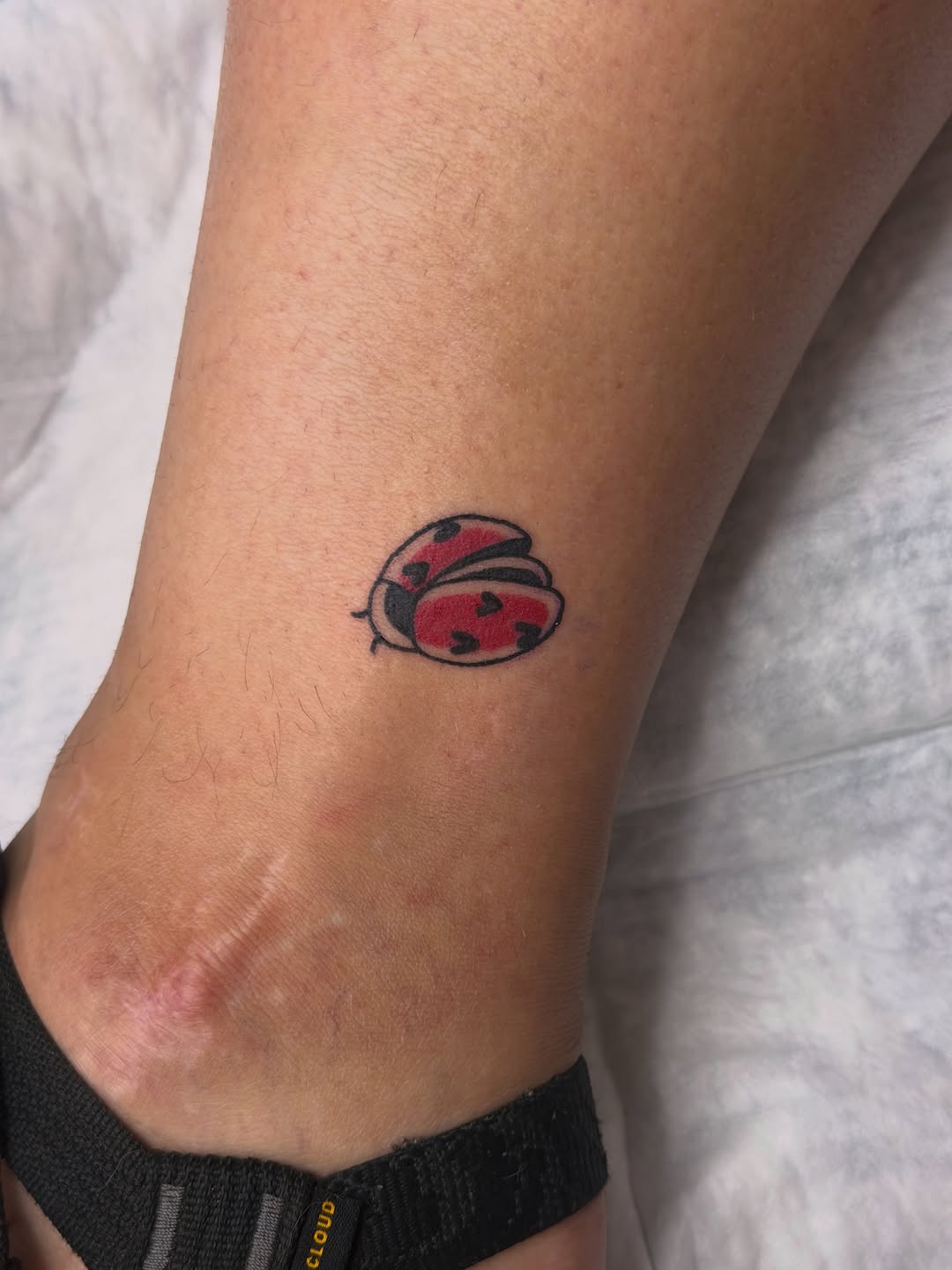 Tattoo by @caitlynntattoos โ american_traditional
