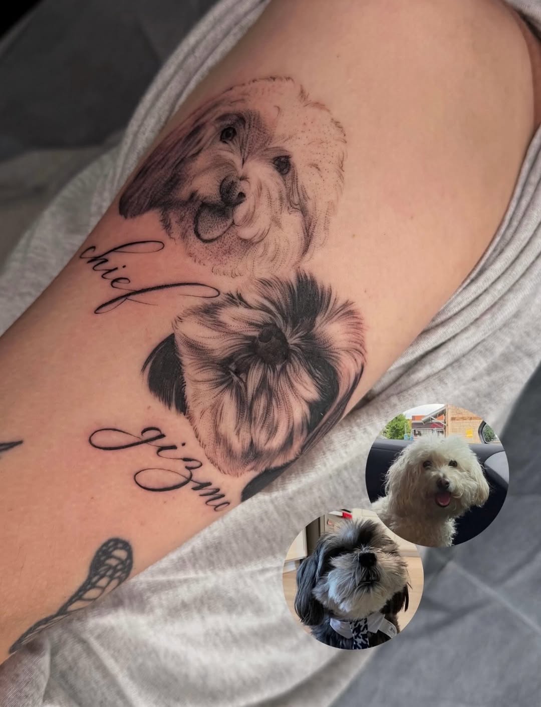 Tattoo by @maggieangulotattoo — realism, black_and_grey