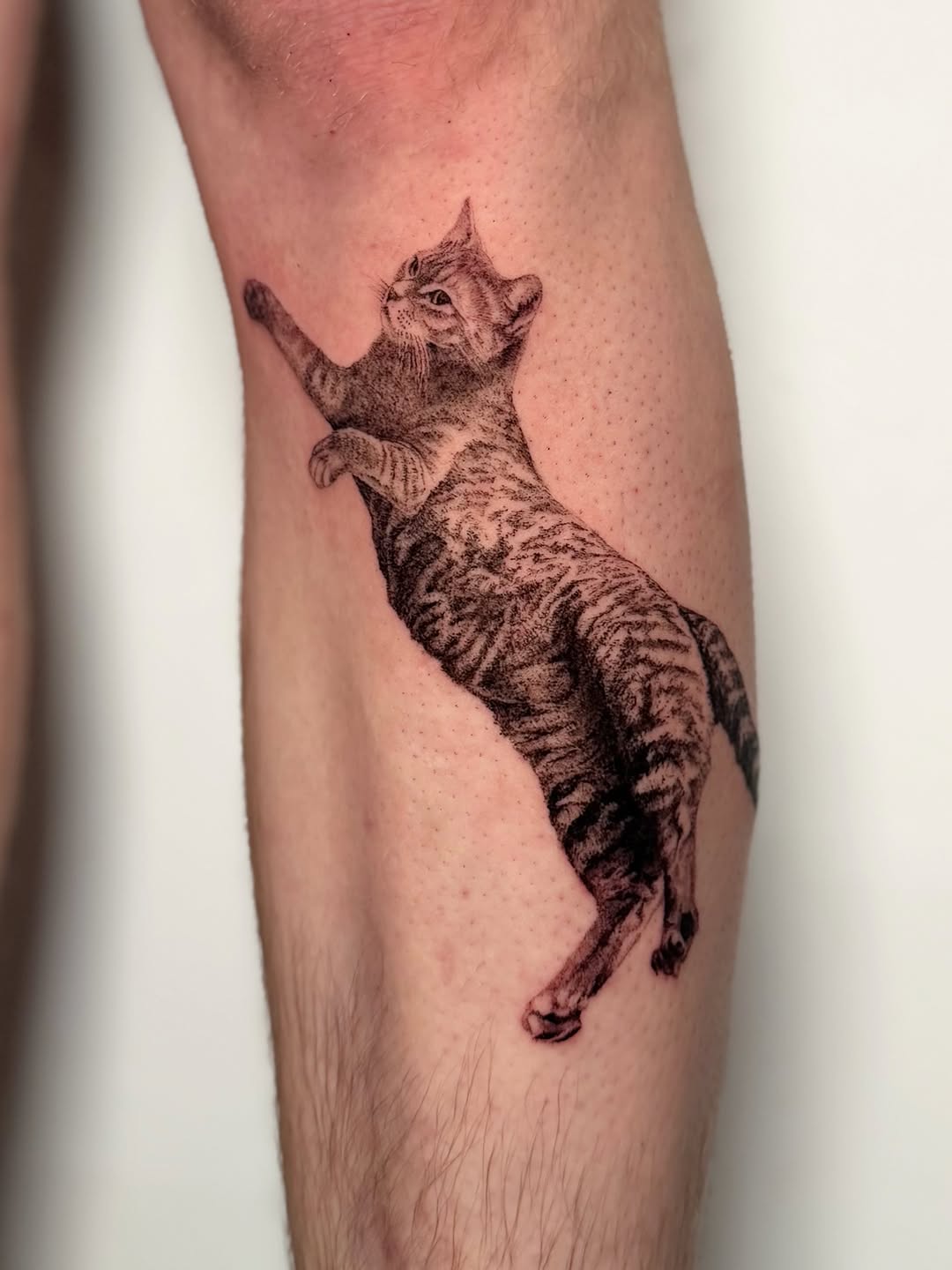 Tattoo by @redrooktattoo โ realism, black_and_grey
