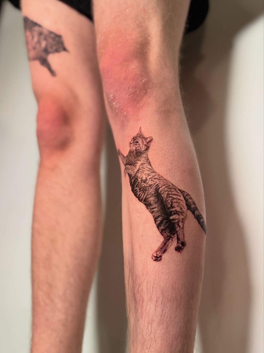 Tattoo by @redrooktattoo โ realism, black_and_grey