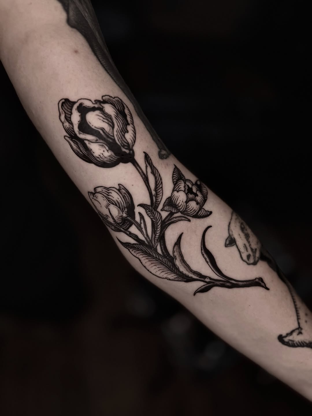 Tattoo by @korztattoo — black_and_grey, illustrative