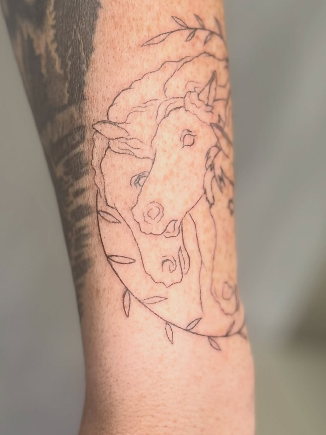 Tattoo by @papamule_ — fine_line