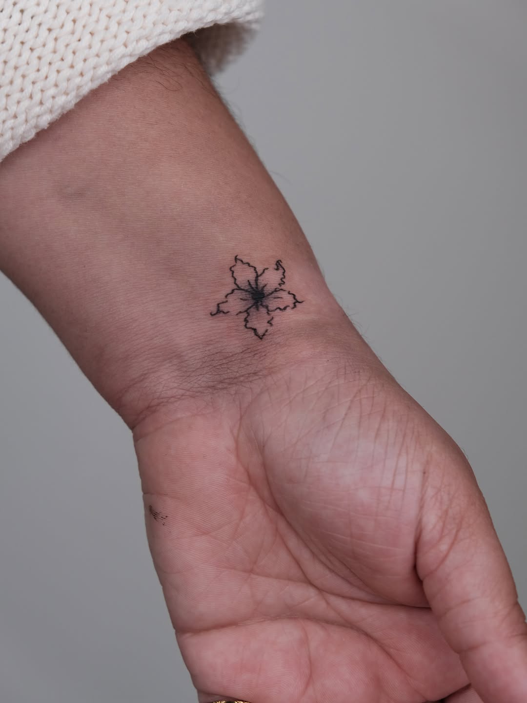 Tattoo by @elanatattoos โ fine_line, illustrative