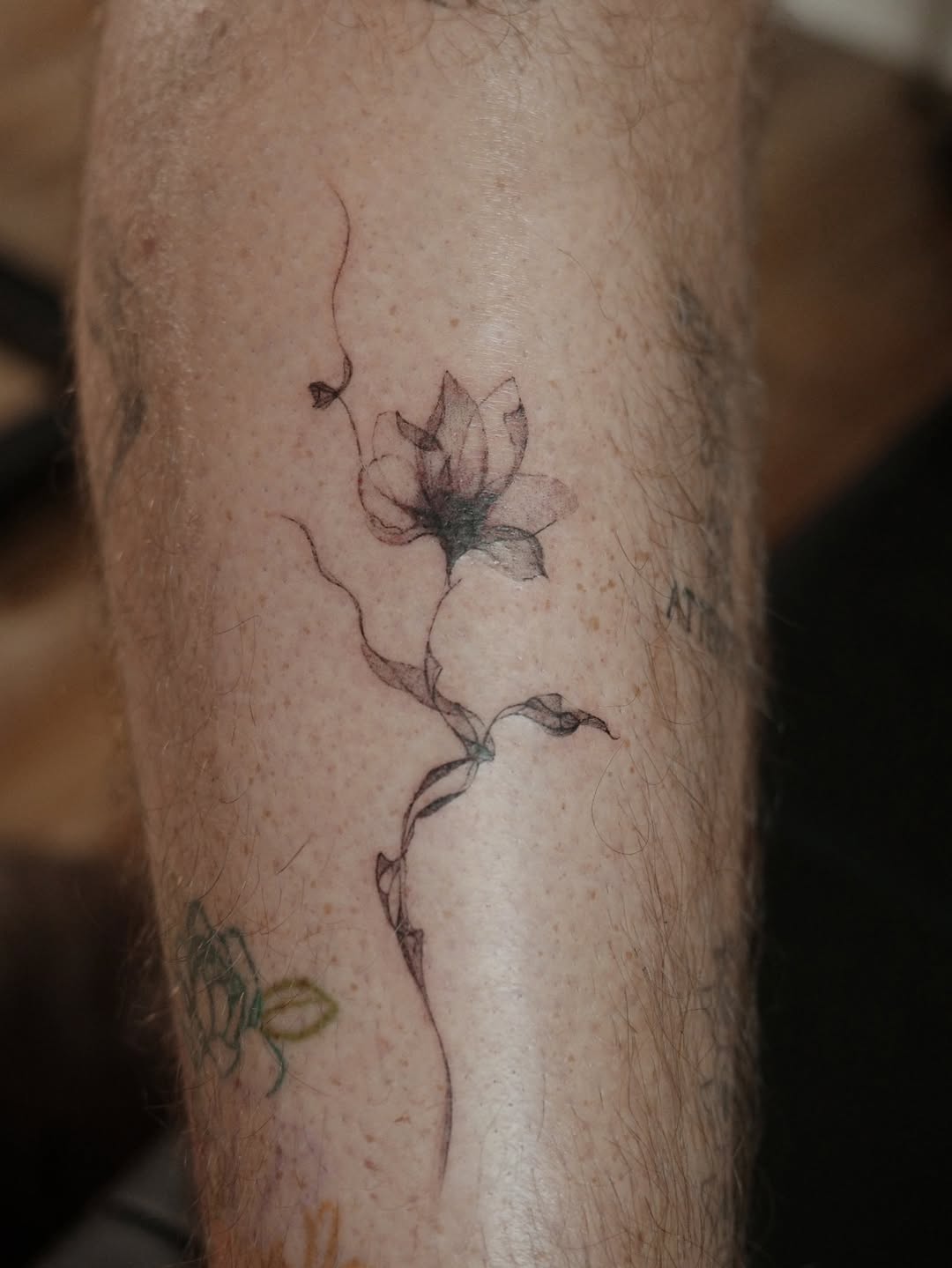 Tattoo by @tatmekb — fine_line, black_and_grey