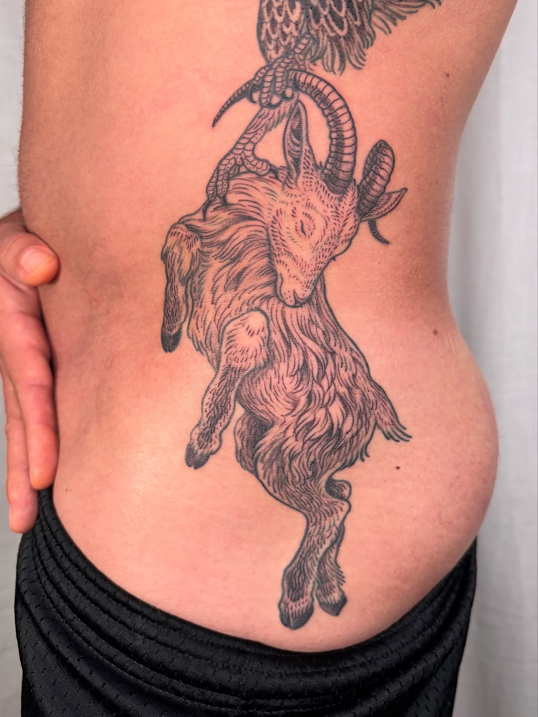 Tattoo by @maggiechotattoo — black_and_grey, realism