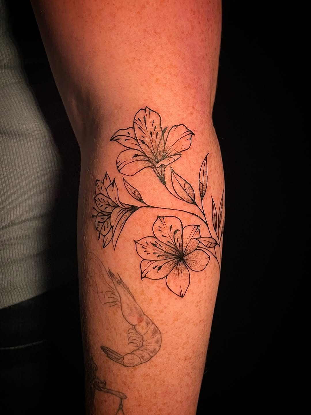 Tattoo by @graceless_ink โ fine_line, black_and_grey
