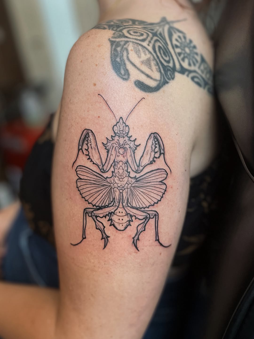 Tattoo by @egirotto.art — fine_line