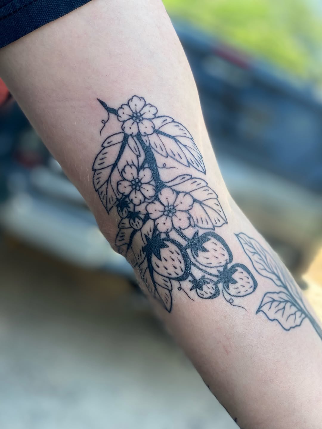 Tattoo by @lemonboyinks — fine_line, illustrative