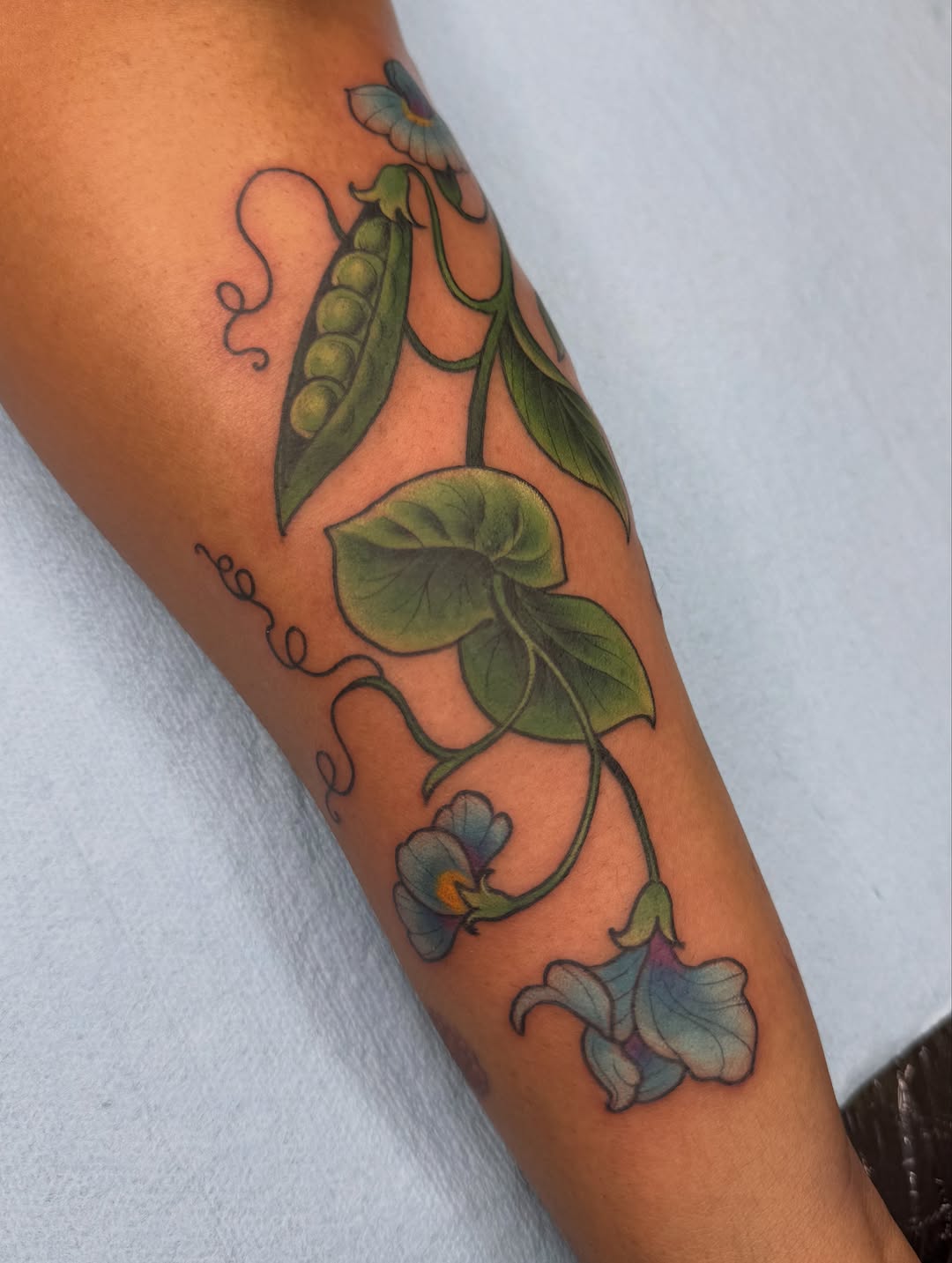 Tattoo by @annappley — fine_line, illustrative