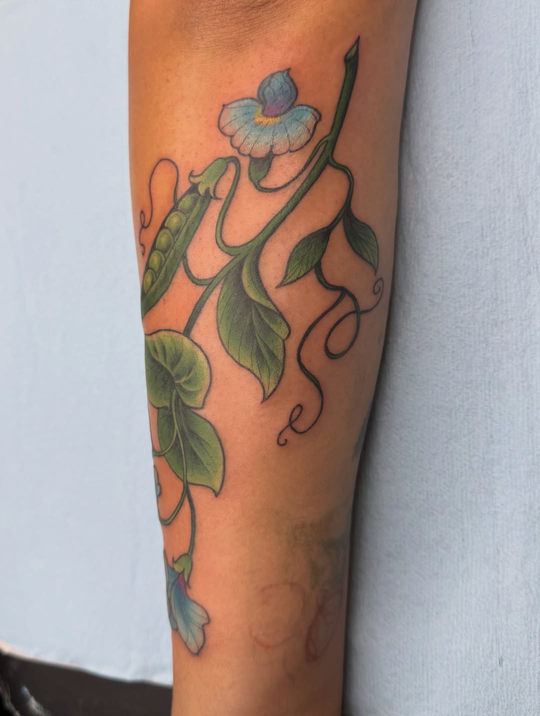 Tattoo by @annappley — fine_line, realism