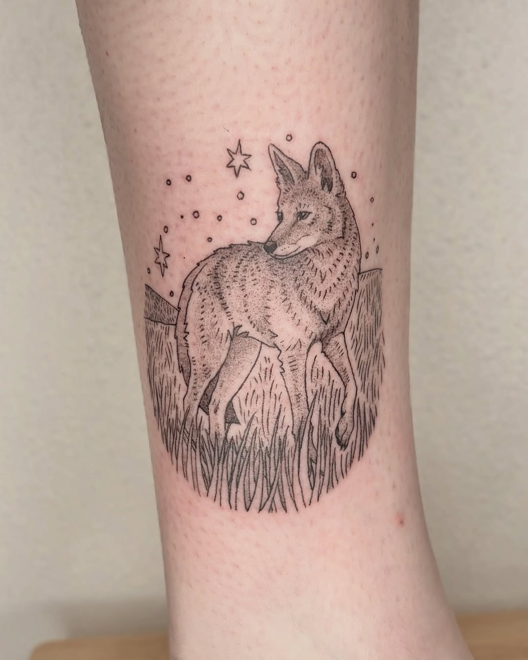 Tattoo by @siltyloamtattoo — fine_line, illustrative