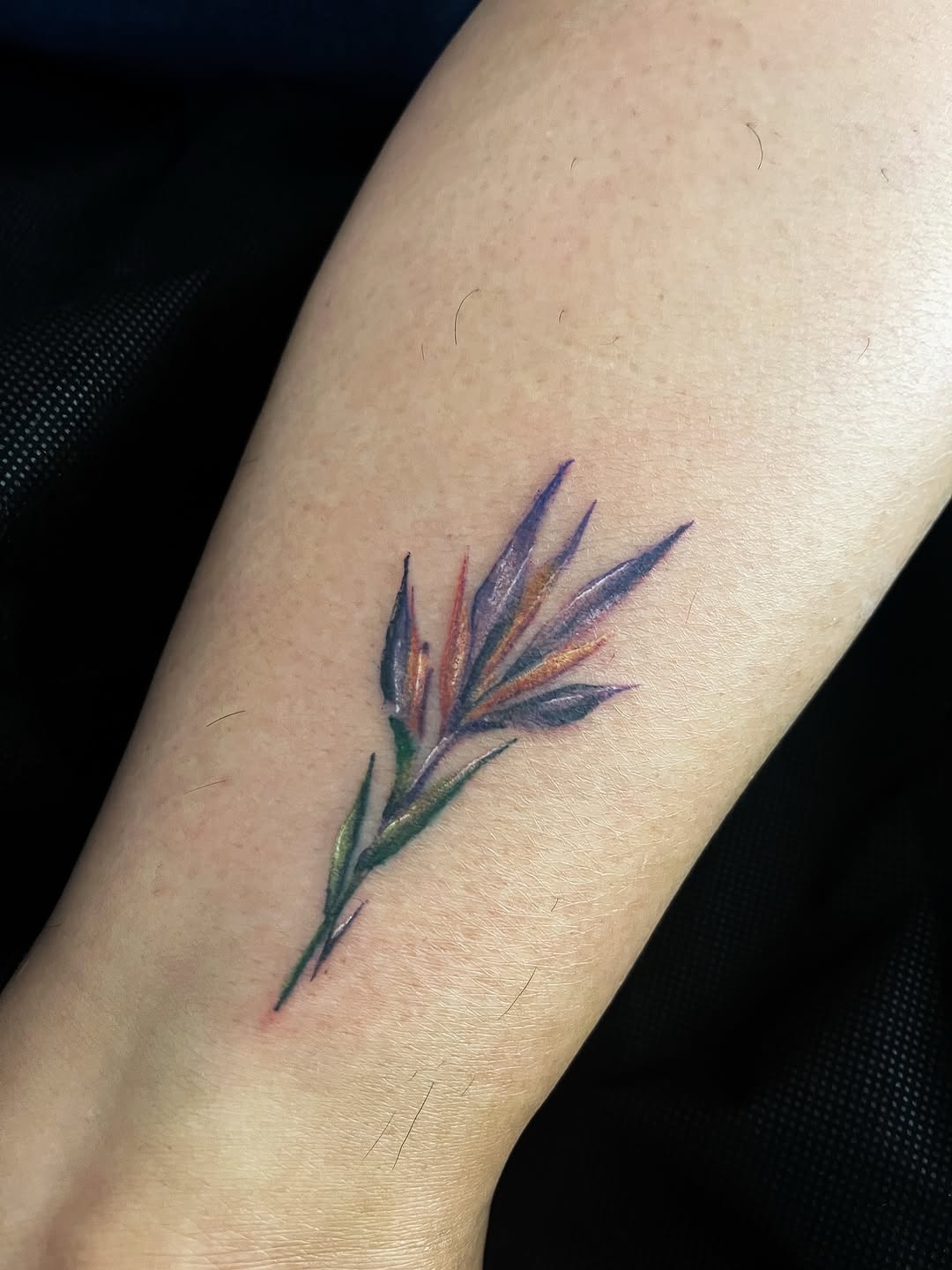 Tattoo by @janellecubatattoo — fine_line, realism