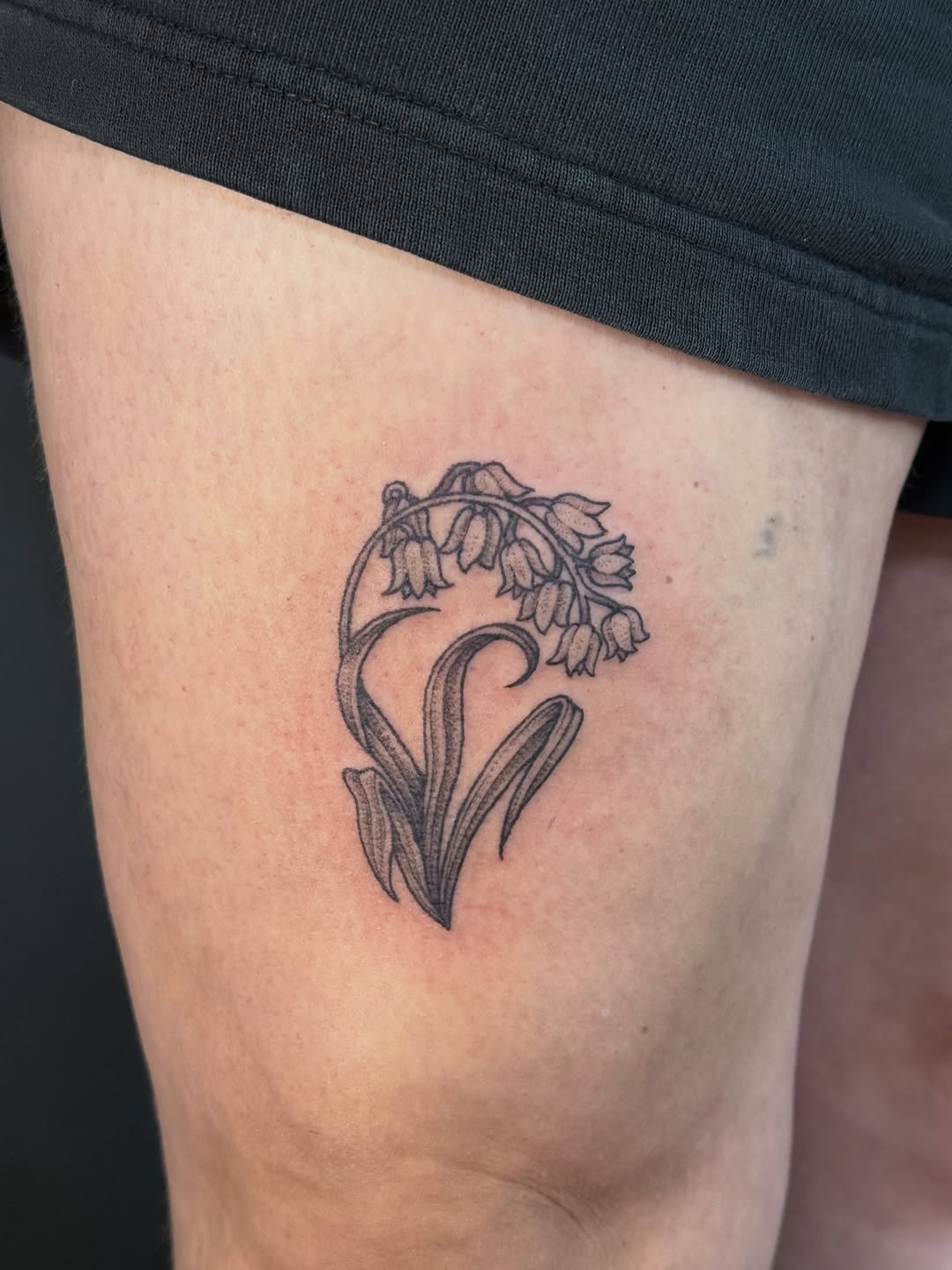 Tattoo by @pdv — fine_line, black_and_grey