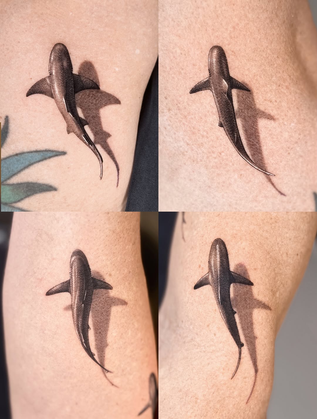 Tattoo by @_via_saru — realism, black_and_grey