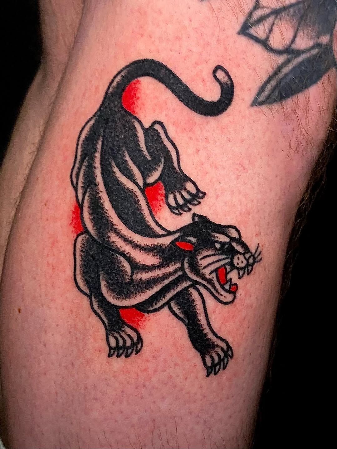Tattoo by @cluelesstattoos — american_traditional