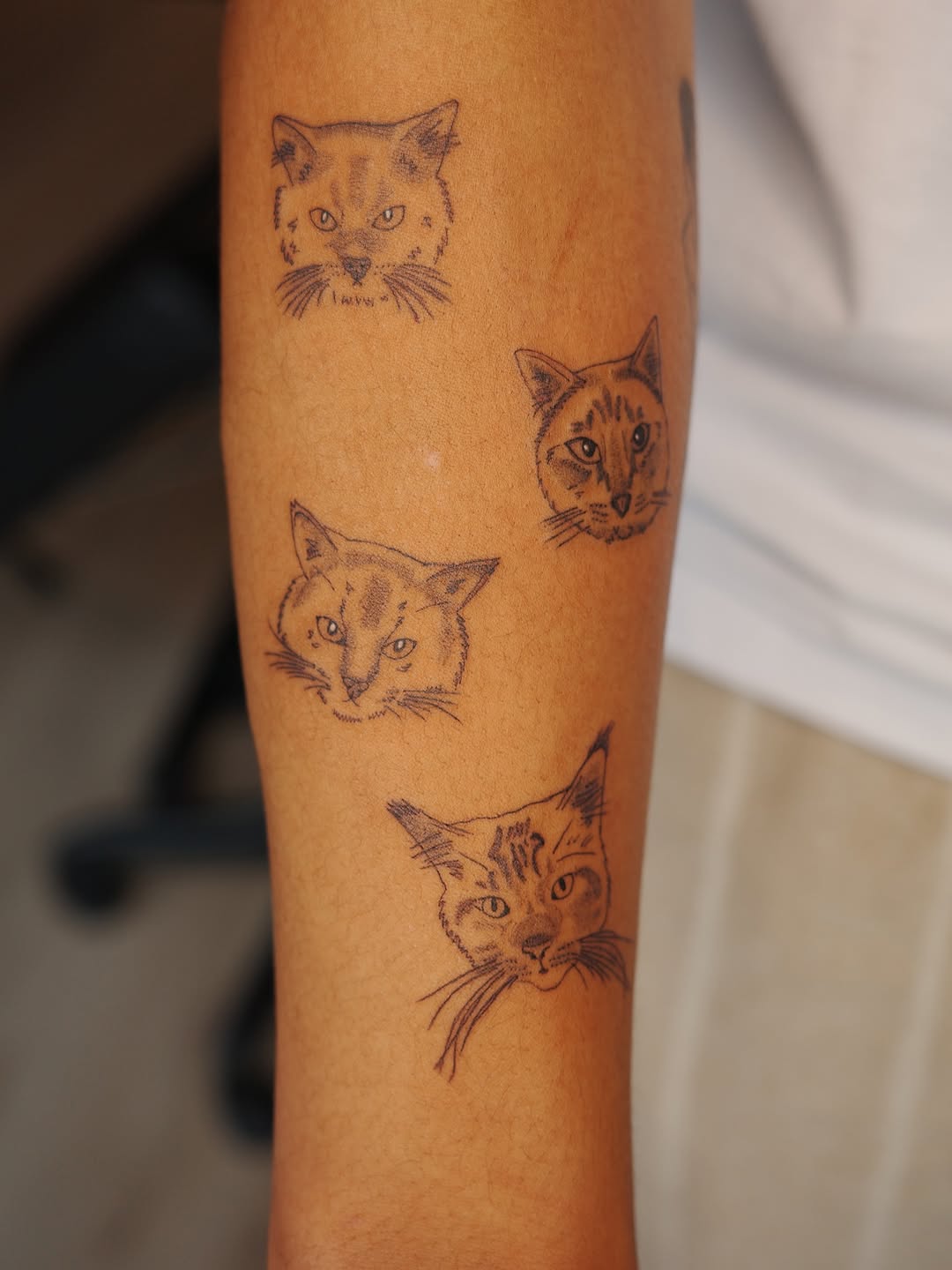 Tattoo by @holly.tatts — fine_line, sketch