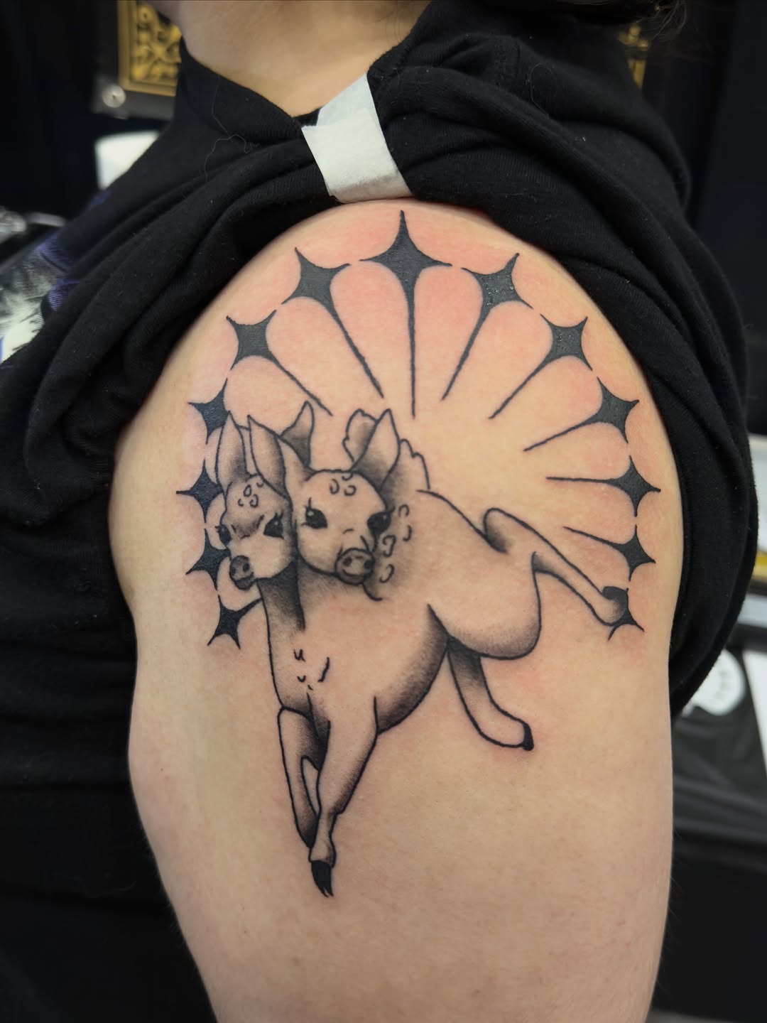 Tattoo by @gothcat.ink β black_and_grey, illustrative