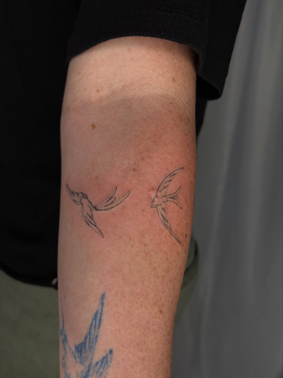 Tattoo by @sabpokes — fine_line