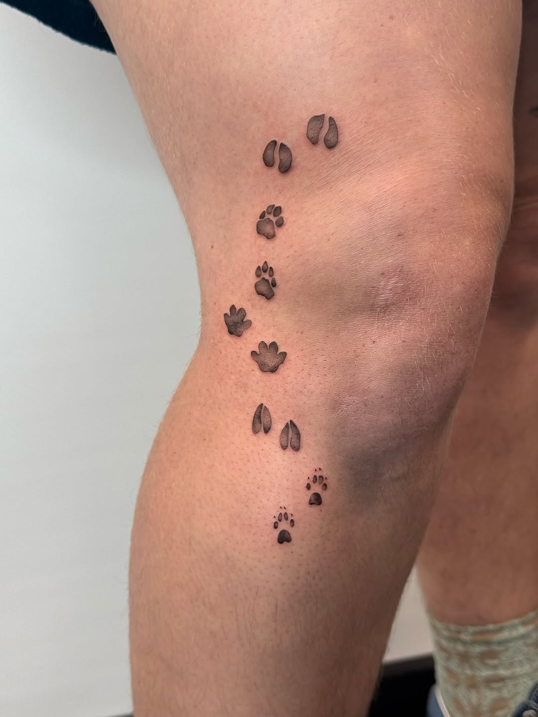 Tattoo by @whiskietattoos โ fine_line, black_and_grey