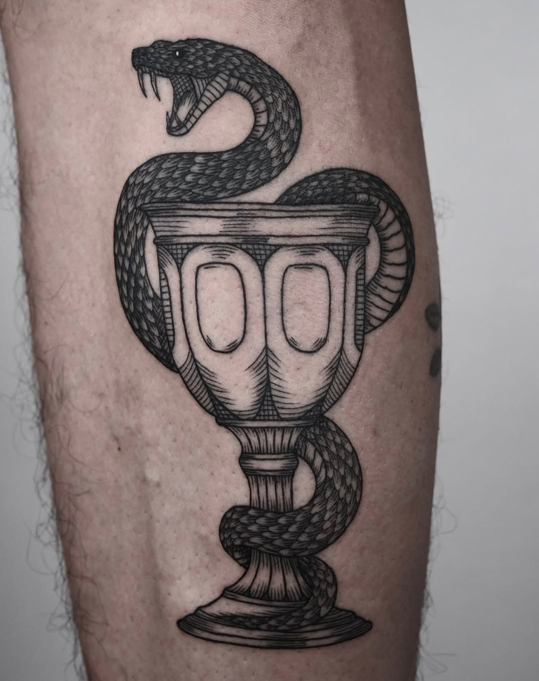 Tattoo by @nocool_kim — black_and_grey, realism