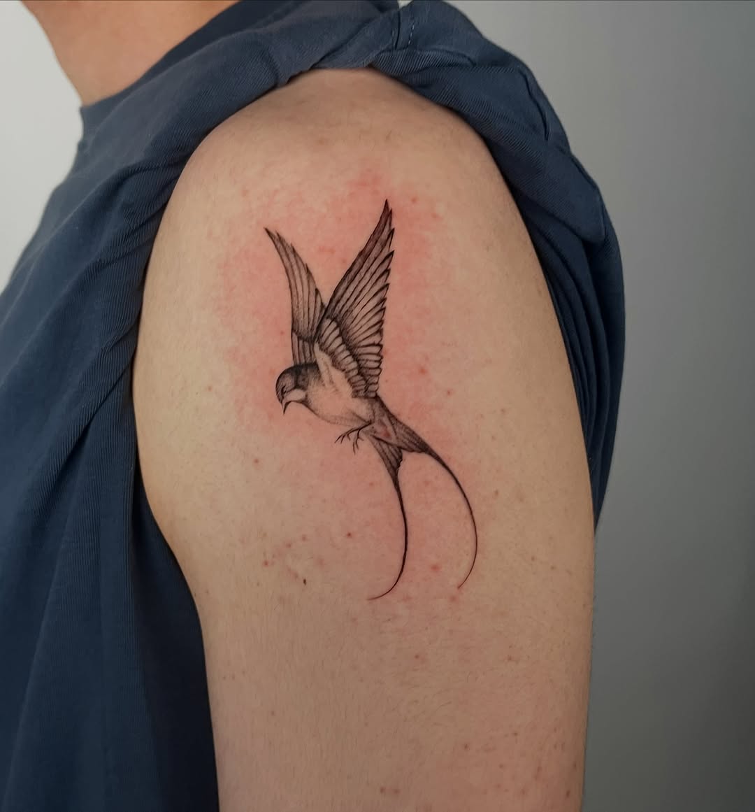 Tattoo by @needleshark — fine_line, black_and_grey
