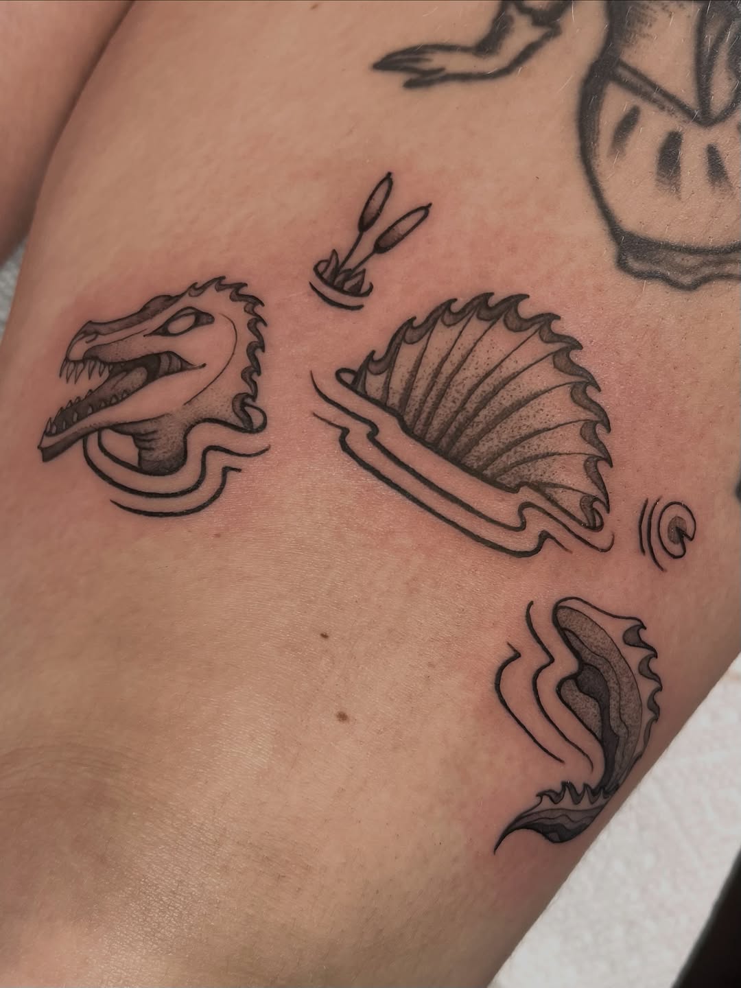 Tattoo by @audreywallacetattoo — black_and_grey, illustrative